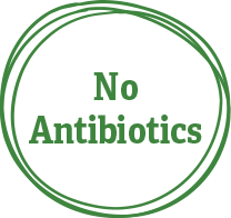 No Antibiotics in green circle