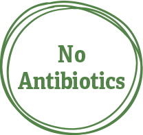 No Antibiotics in green circle